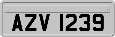 AZV1239