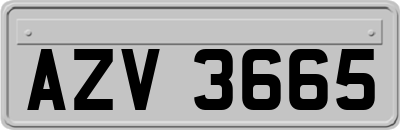 AZV3665