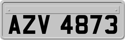 AZV4873