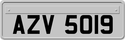 AZV5019