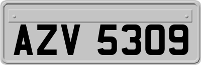 AZV5309