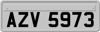 AZV5973