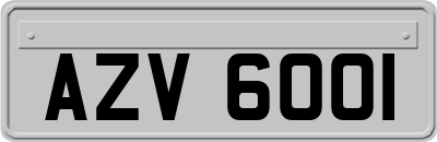 AZV6001