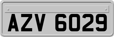 AZV6029