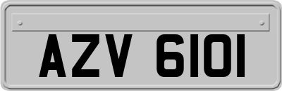 AZV6101