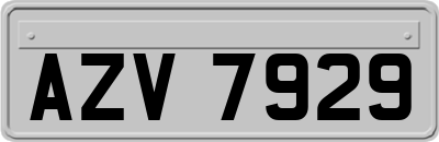 AZV7929