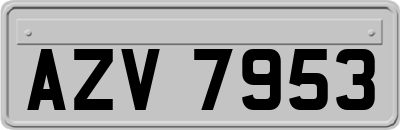 AZV7953
