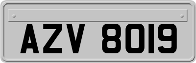 AZV8019
