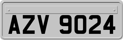 AZV9024