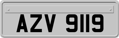AZV9119
