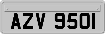 AZV9501