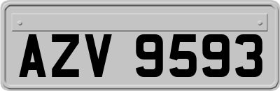 AZV9593
