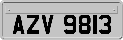 AZV9813