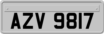 AZV9817