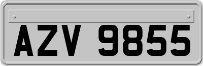 AZV9855