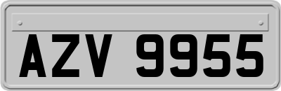 AZV9955