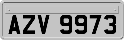 AZV9973
