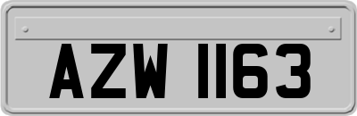 AZW1163
