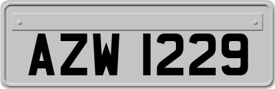 AZW1229