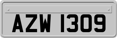AZW1309