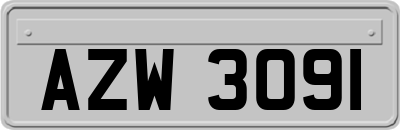 AZW3091