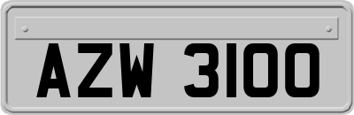 AZW3100