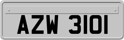 AZW3101
