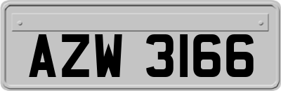 AZW3166