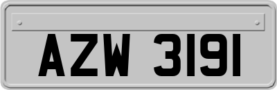 AZW3191