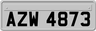 AZW4873