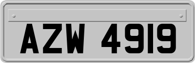 AZW4919