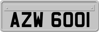 AZW6001