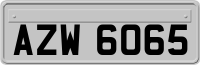 AZW6065