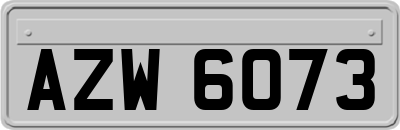 AZW6073