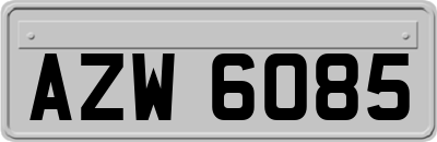 AZW6085