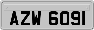 AZW6091