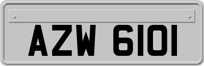 AZW6101