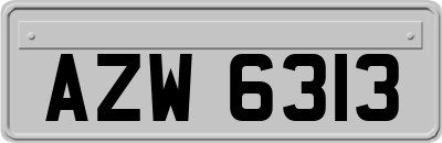 AZW6313