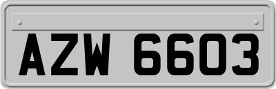 AZW6603