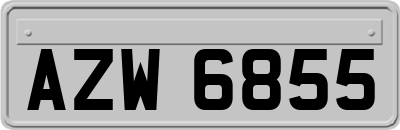 AZW6855