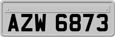 AZW6873