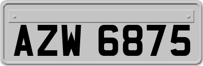 AZW6875