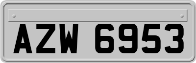 AZW6953