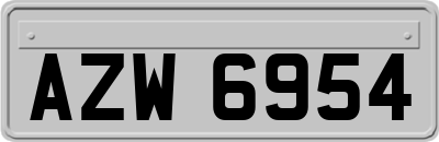 AZW6954