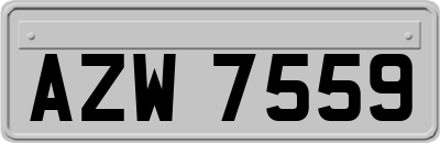 AZW7559
