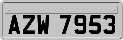 AZW7953
