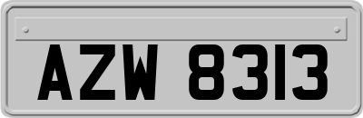 AZW8313