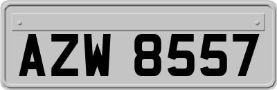 AZW8557