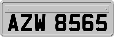 AZW8565