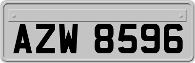 AZW8596